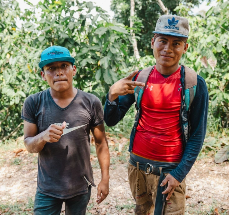 Cacao Harvesting