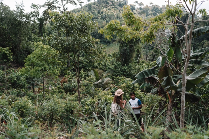 Meet your cacao farmer