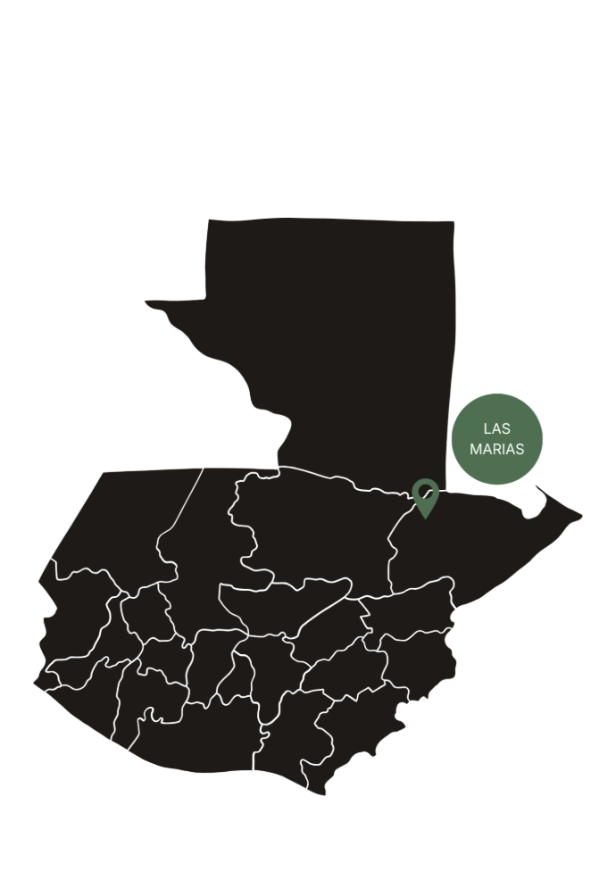 Las Marias, Cacao Map Guatemala