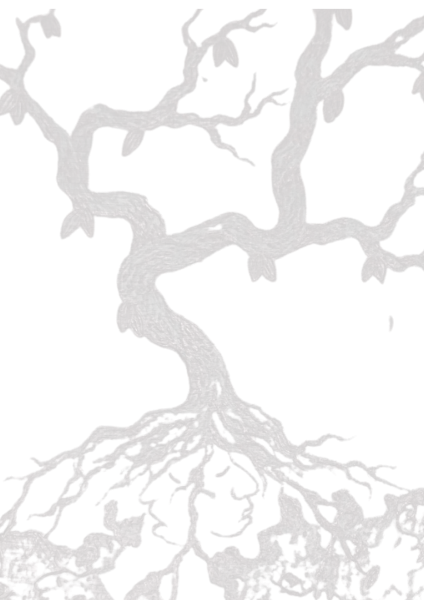 cacao tree art