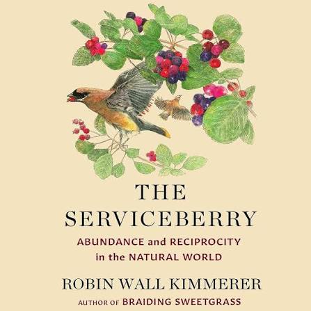 Cacao Source bookclub
