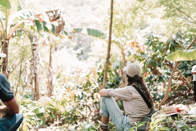 Cacao Jungle Immersion