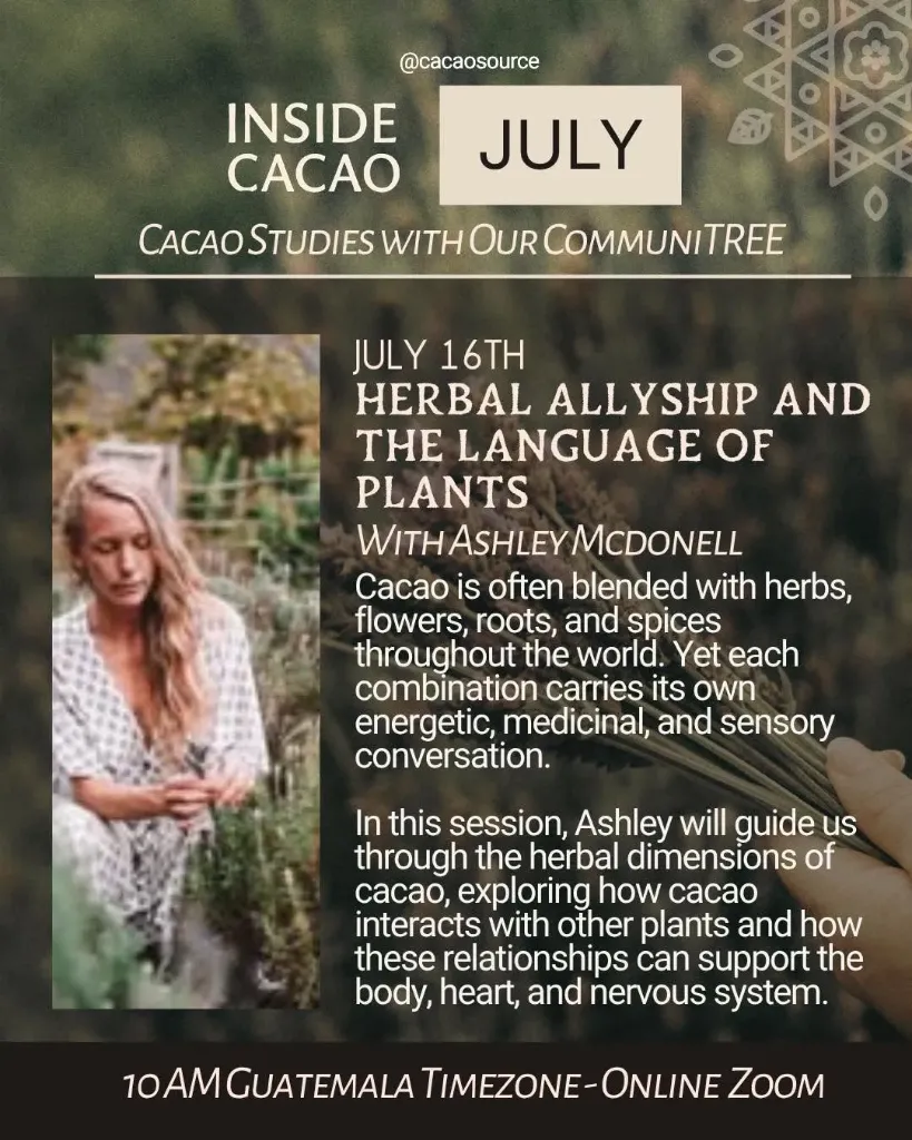 Herbal Allyship & the Language of Plants