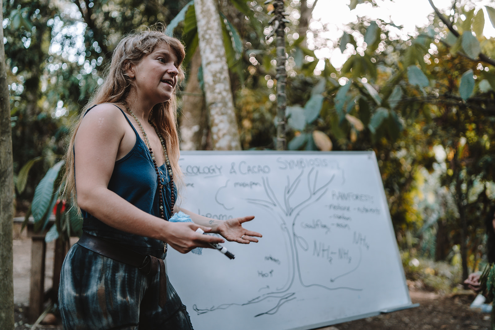 Cacao Ecology